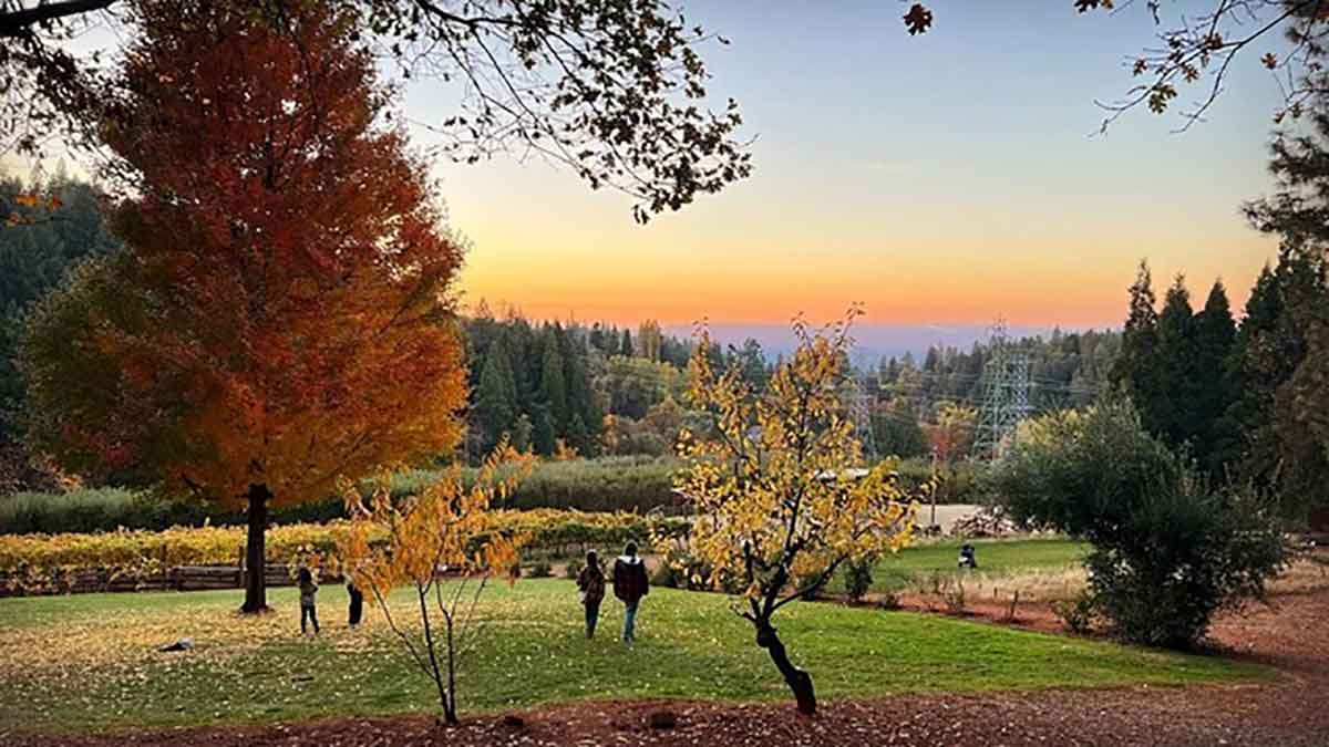 Fall colors at Apple Hill