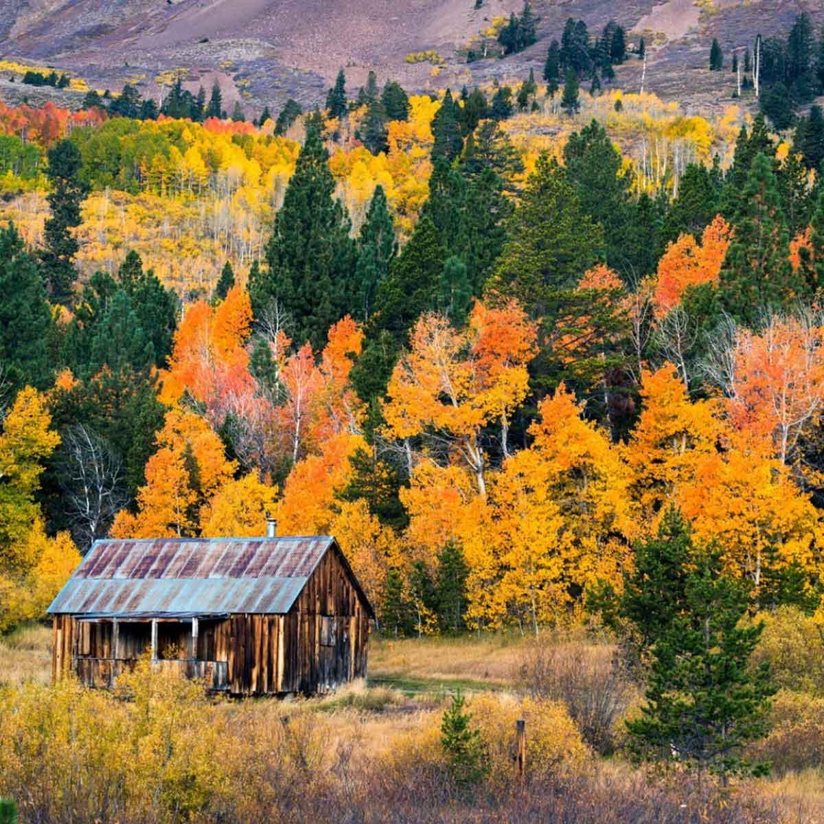 Fall colors near South Lake Tahoe