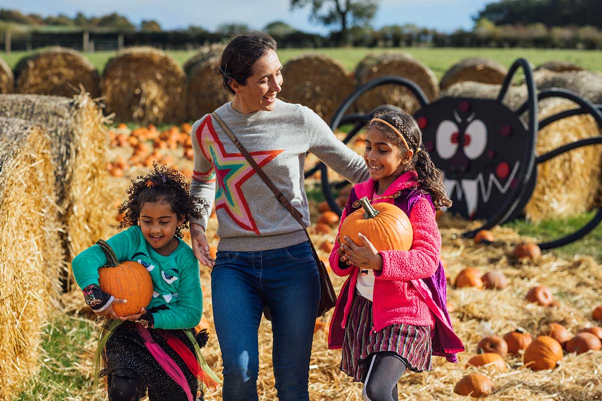 Sacramento Fall Events include Pumpkin Patches and More