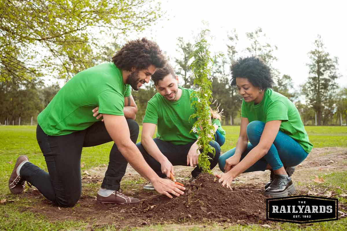 Teens planting trees in a park wearing green shirts. Find out how Sacramento is investing in green job training for youth.