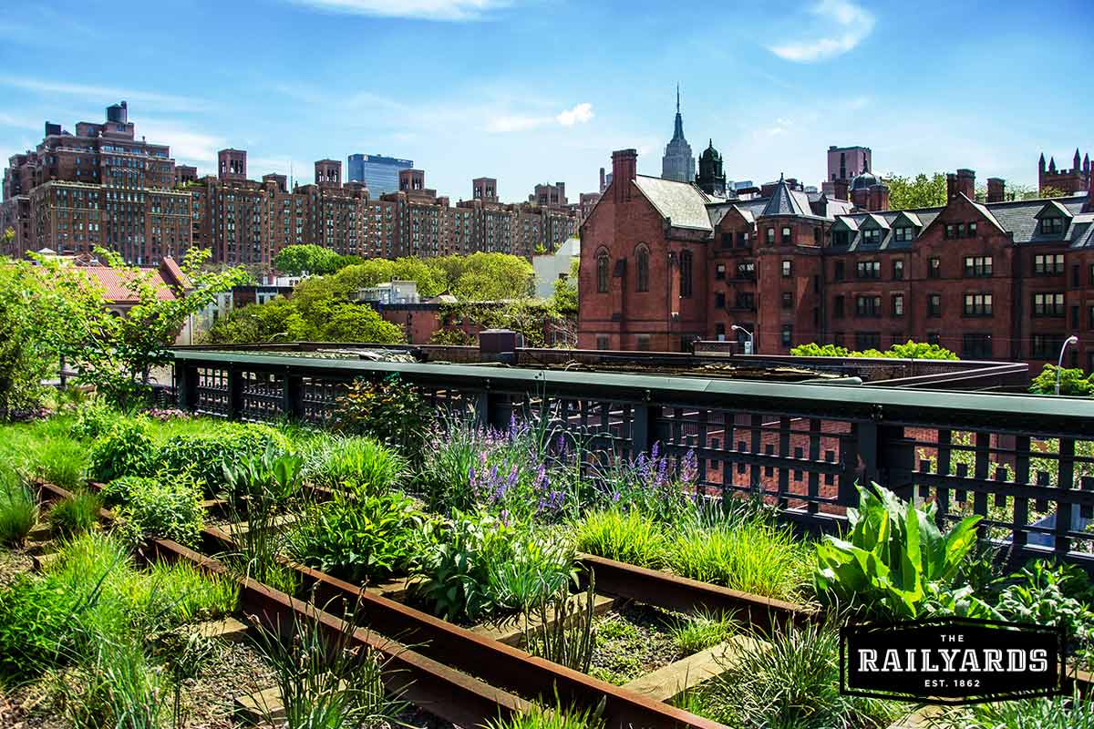 The High Line in New York, an urban infill project that transformed a historic freight rail line into a public park.