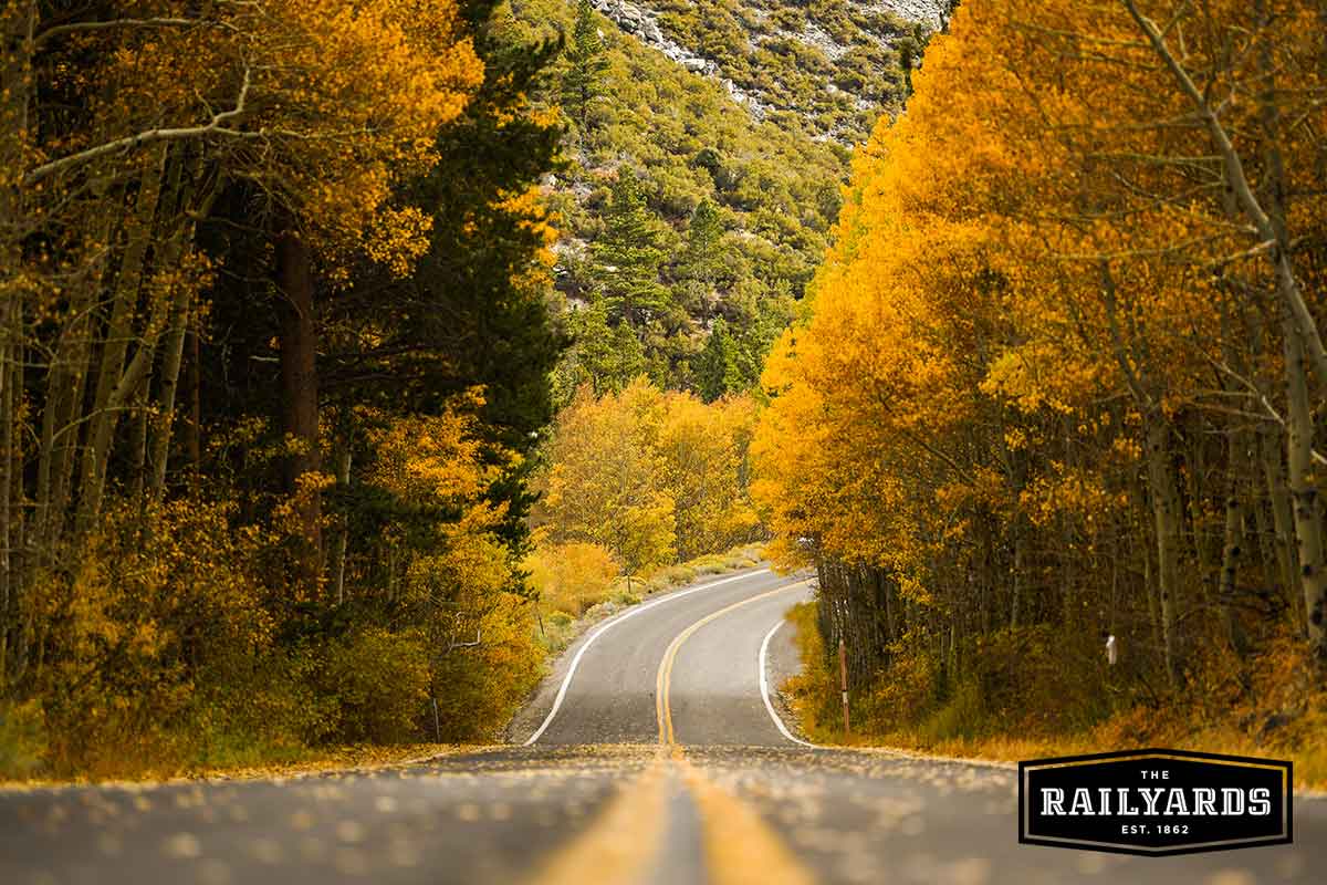 June Lake Loop Road in the Fall. Discover the best day trips to see fall foliage near Sacramento.